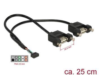Delock Kabel USB 2.0 pin konektor samice 2,00 mm 10 pin > 2 x USB 2.0 Typ-A samice panel pro montáž 25 cm