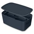 LEITZ Úložný box s víkem MyBox Cosy + Organizér s držadlem, velikost S, sametová šedá